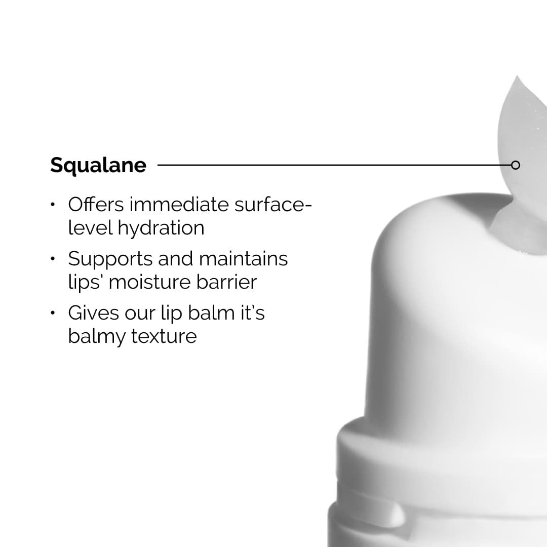 The Ordinary Squalane + Amino Acids Hydrating Lip Balm