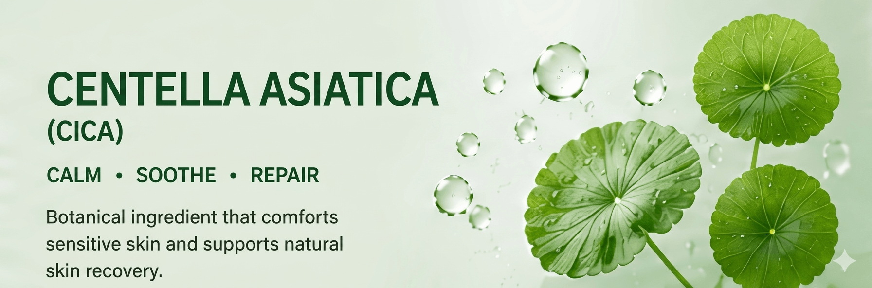 Centella asiatica Cica dermo