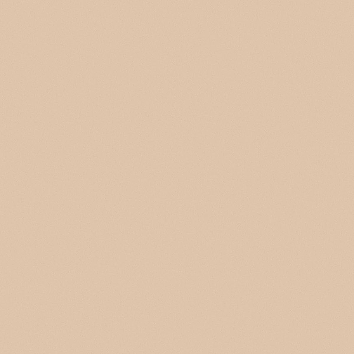 Sally Hansen - Airbrush Legs, Leg Makeup Foundation - Fairest (118ml)