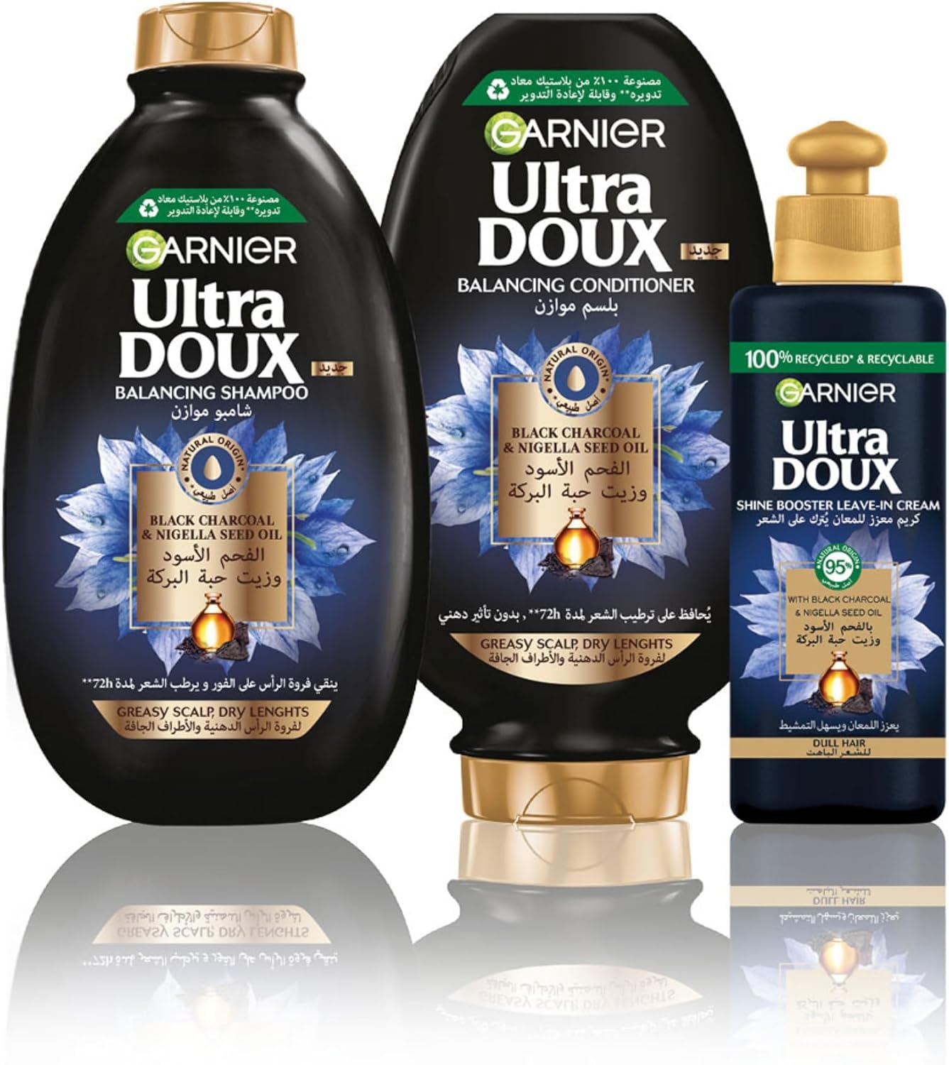 Garnier Ultra Doux Black Charcoal & Nigella Seed Oil Purifying & Shine Shampoo 400 ml