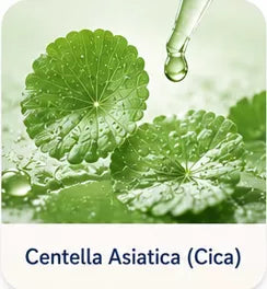 centella asiatica