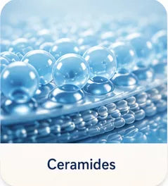 ceramides